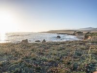 a grassy field by the shore and a cliff with rocks in the ocean in the background