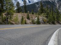 a curve road through a forest with a mountain range in the distance in the background