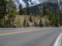 a curve road through a forest with a mountain range in the distance in the background