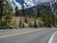 a curve road through a forest with a mountain range in the distance in the background