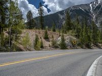 a curve road through a forest with a mountain range in the distance in the background