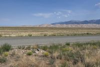 an empty road with mountains in the background, and yellow flowers in the foreground