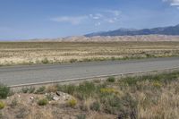 an empty road with mountains in the background, and yellow flowers in the foreground