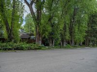 an empty street lined with trees and a mountain range in the distance in the back