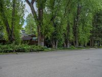 an empty street lined with trees and a mountain range in the distance in the back