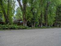 an empty street lined with trees and a mountain range in the distance in the back