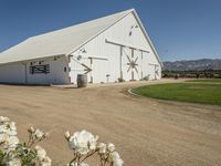 USA Daytime: Grass and Dirt Road