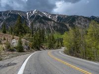 a curve road through a forest with a mountain range in the distance in the background