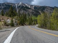 a curve road through a forest with a mountain range in the distance in the background