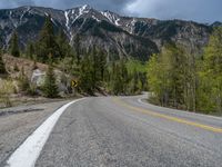 a curve road through a forest with a mountain range in the distance in the background