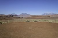 a brown sand field filled with green plants and mountains in the distance are snow capped peaks