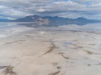 USA Desert Landscape with Mountains