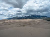 this landscape contains a large amount of desert and mountains with snow capped tops in the background