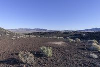 a desert area with sparse grass, rocks and mountains on the horizon in the distance