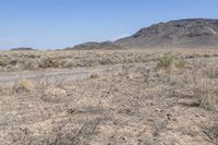 USA Desert Landscape: Rugged Hills 001
