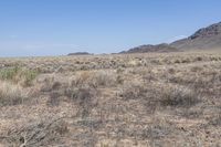 USA Desert Landscape: Rugged Hills 002