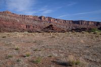 an arid area with dry grass, bushes, and a mountain in the background with a sky