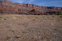 an arid area with dry grass, bushes, and a mountain in the background with a sky