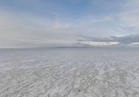 USA Desert Nature: Clear Day in the Open Space