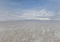 USA Desert Nature: Clear Day in the Open Space