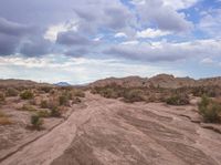 an empty dirt road leads to mountains on a cloudy day in the desert with large scrub bushes and grass growing along the edge