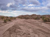 an empty dirt road leads to mountains on a cloudy day in the desert with large scrub bushes and grass growing along the edge