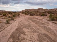 an empty dirt road leads to mountains on a cloudy day in the desert with large scrub bushes and grass growing along the edge