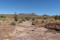 Desert Road in Utah, USA