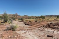 Desert Road in Utah, USA