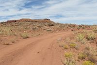 a dirt road in a dry landscape with brush and rocks in the foreground and a rock formation to the right