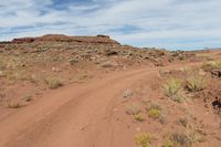 a dirt road in a dry landscape with brush and rocks in the foreground and a rock formation to the right