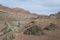 the valley looks very rocky and sparse in this desert area with sparse trees growing inside