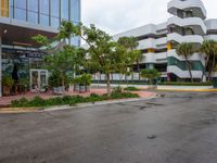 a very nice building in the middle of a tree covered street corner area with some buildings and shrubs growing around