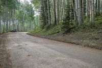 a car drives on the road in a forest area, near many trees, and a green hillside