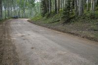 a car drives on the road in a forest area, near many trees, and a green hillside