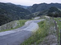 winding mountain road on edge with yellow flowers in grassy area beside road and mountains and fenced area