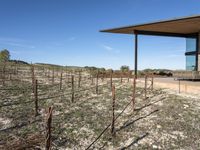 a modern looking winery with a wooden roof in the sun on a field with some brown barbed fencing