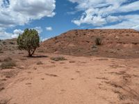 USA's Gravel Areas: Exploring Open Spaces in Capitol Reef