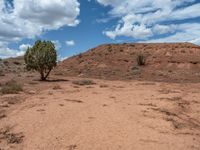 USA's Gravel Areas: Exploring Open Spaces in Capitol Reef