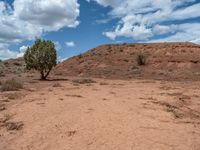 USA's Gravel Areas: Exploring Open Spaces in Capitol Reef