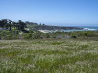 USA's Green Paradise: A Grass Field Garden Park