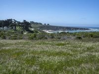 USA's Green Paradise: A Grass Field Garden Park