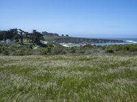 USA's Green Paradise: A Grass Field Garden Park