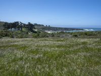 USA's Green Paradise: A Grass Field Garden Park