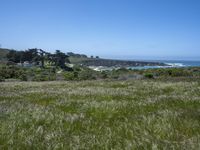 USA's Green Paradise: A Grass Field Garden Park