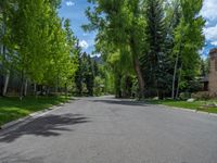 an empty street lined with trees and a mountain range in the distance in the back