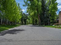 an empty street lined with trees and a mountain range in the distance in the back