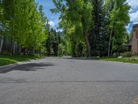 an empty street lined with trees and a mountain range in the distance in the back