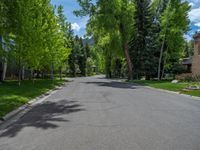 an empty street lined with trees and a mountain range in the distance in the back