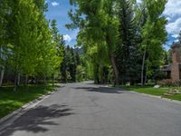 an empty street lined with trees and a mountain range in the distance in the back